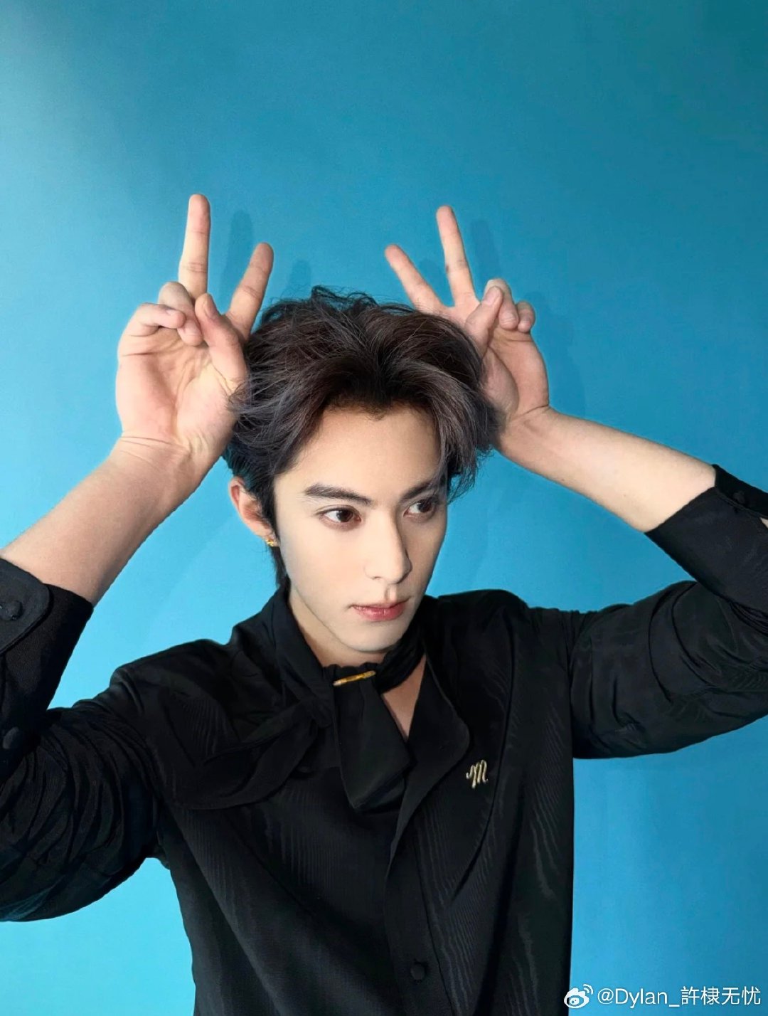 #王鹤棣[超话]#  如此萌的萌物 中间的是结婚照片对吧​