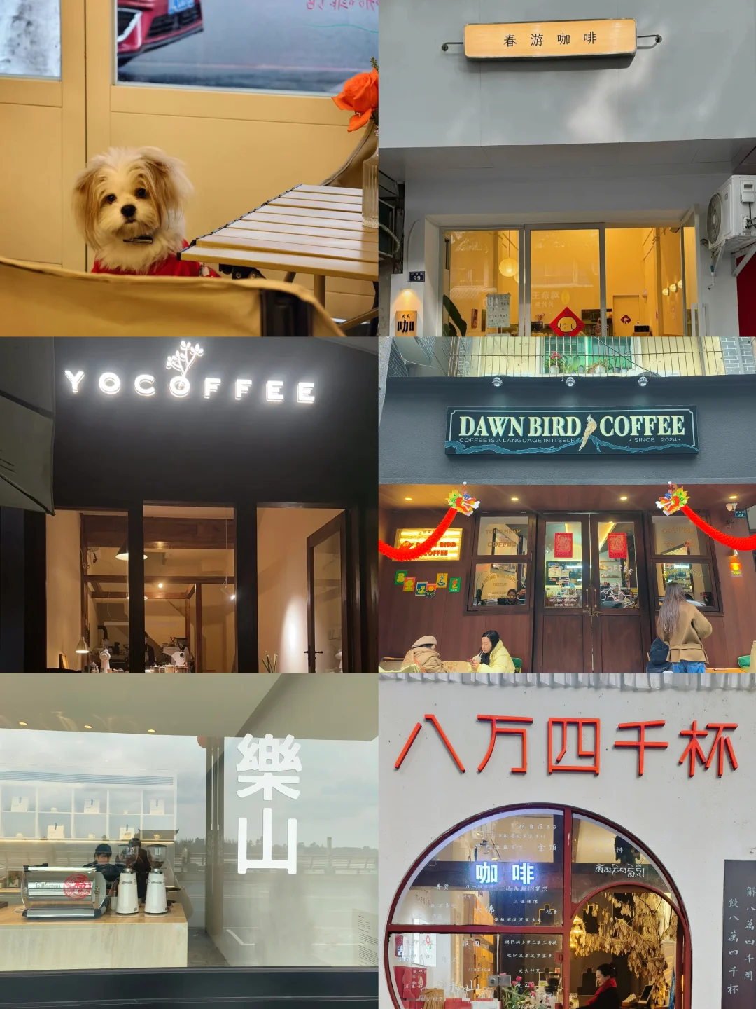 乐山老城区小众咖啡馆，总有一款适合你！