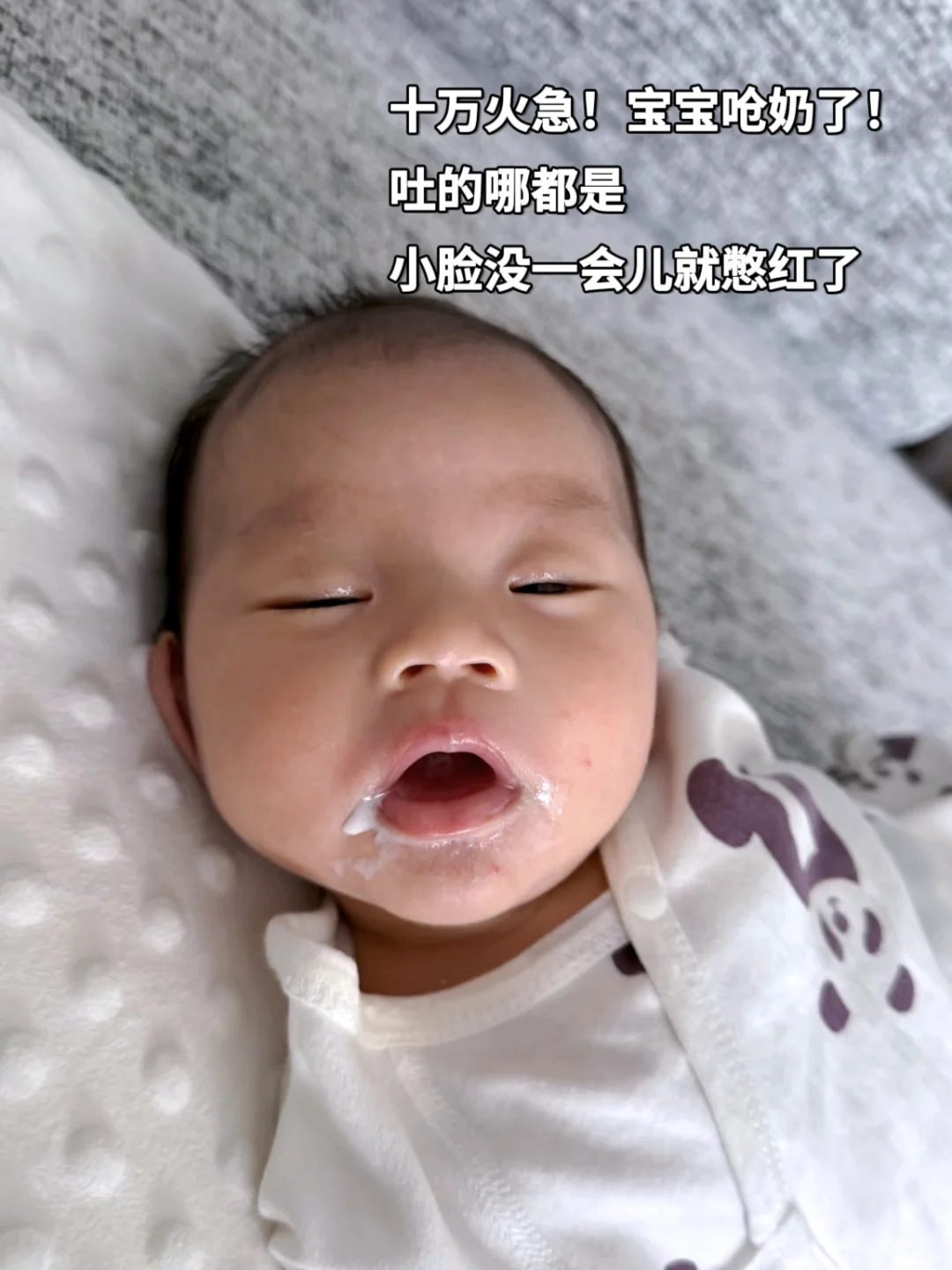 七个月宝宝胃食道返流成功上岸