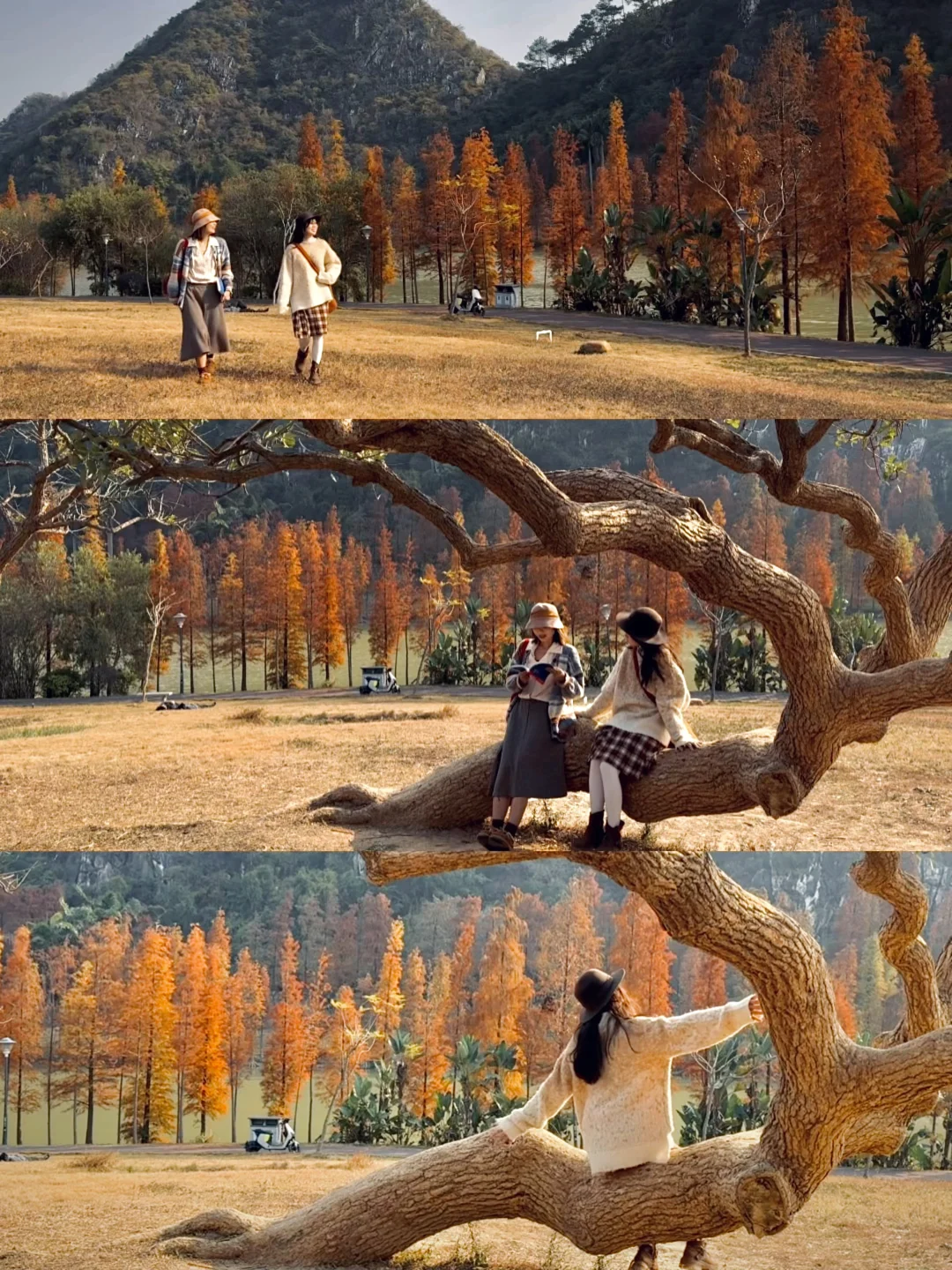 真不是Ai🚄广州0.5h直达的焦糖色湖边森林