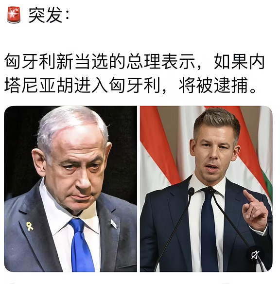 建议都向匈牙利总理看齐，看到就直接抓