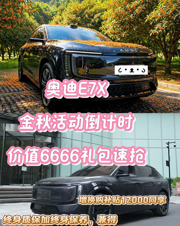 奥迪E7X 金秋活动倒计时，价值6666礼包速抢