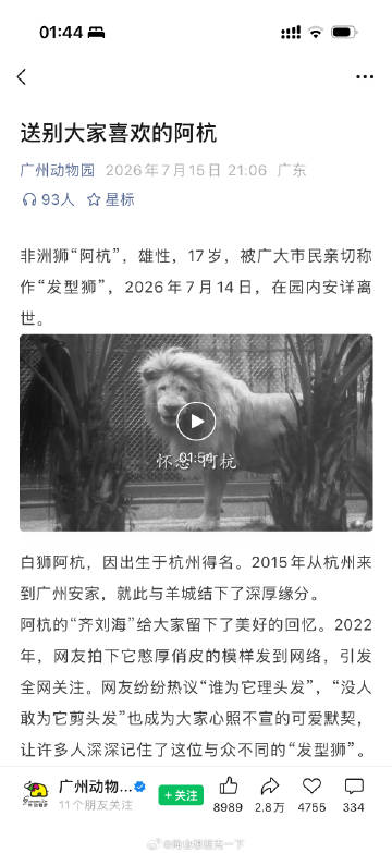 拜拜