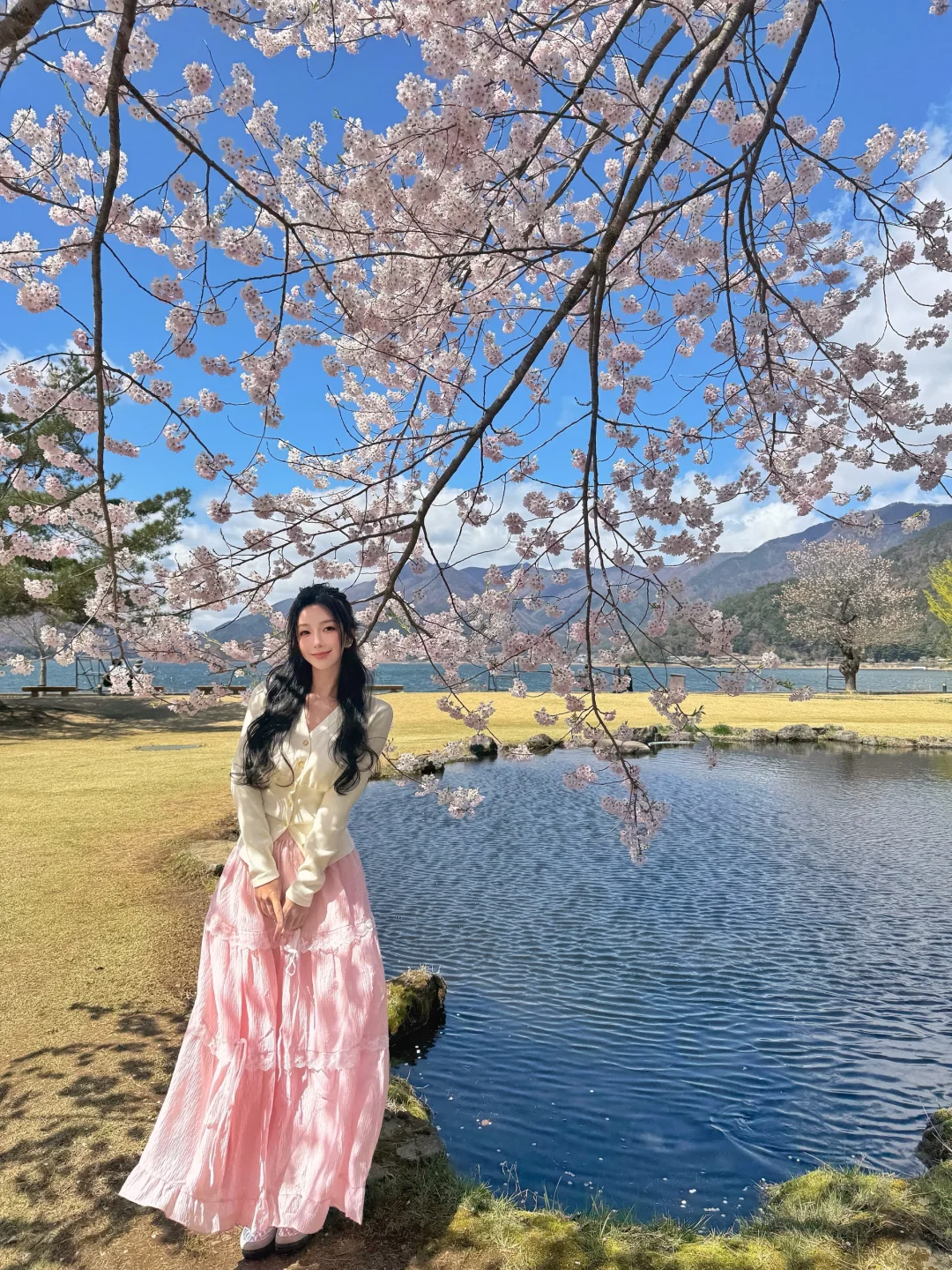 日本｜富士山樱花富豪🌸河口湖樱花长廊