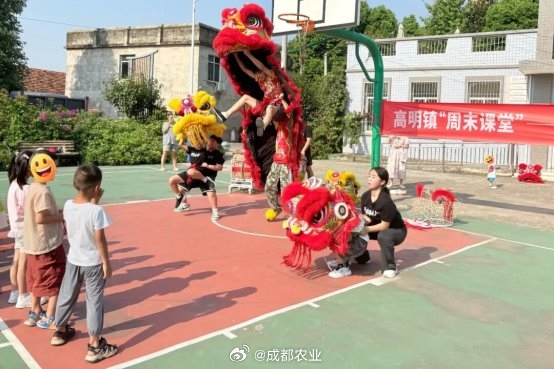 #三农资讯# 【暖心接力！成都东部新区“周末课堂”破解乡村孩童看护难题】#成都农业# 

锣鼓阵阵，狮头翻飞。每逢周末，成都东部新区高明镇综合文化站内热闹十足。非遗龙狮课堂上，孩子们举着狮头跳跃腾挪，灵动的身影，绘就出乡村周末最鲜活温暖的图景。

这是高明镇“周末课堂”的日常一幕。多年来， ​