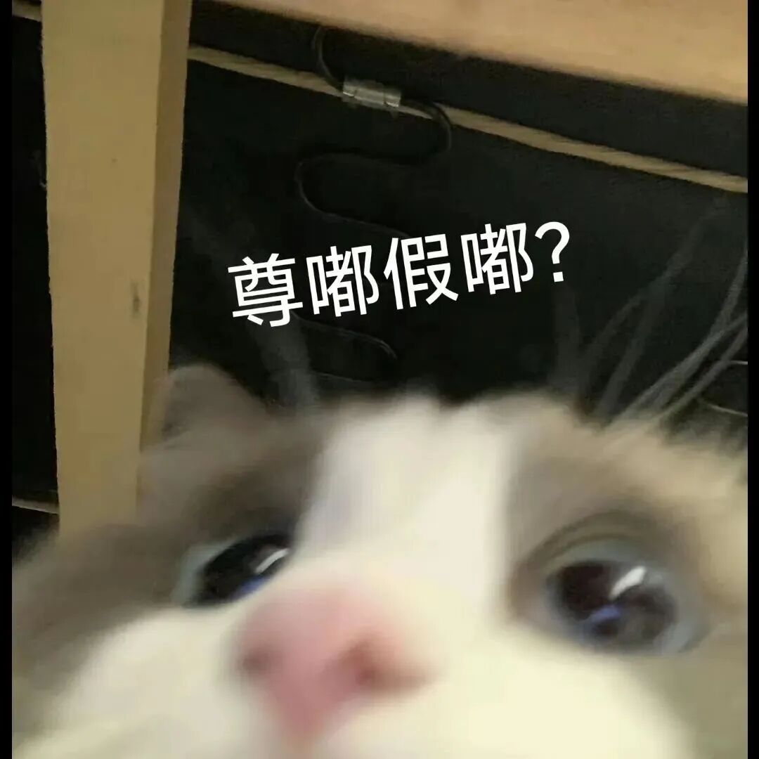 Wechat猫meme表情包聊天用这种小奶猫