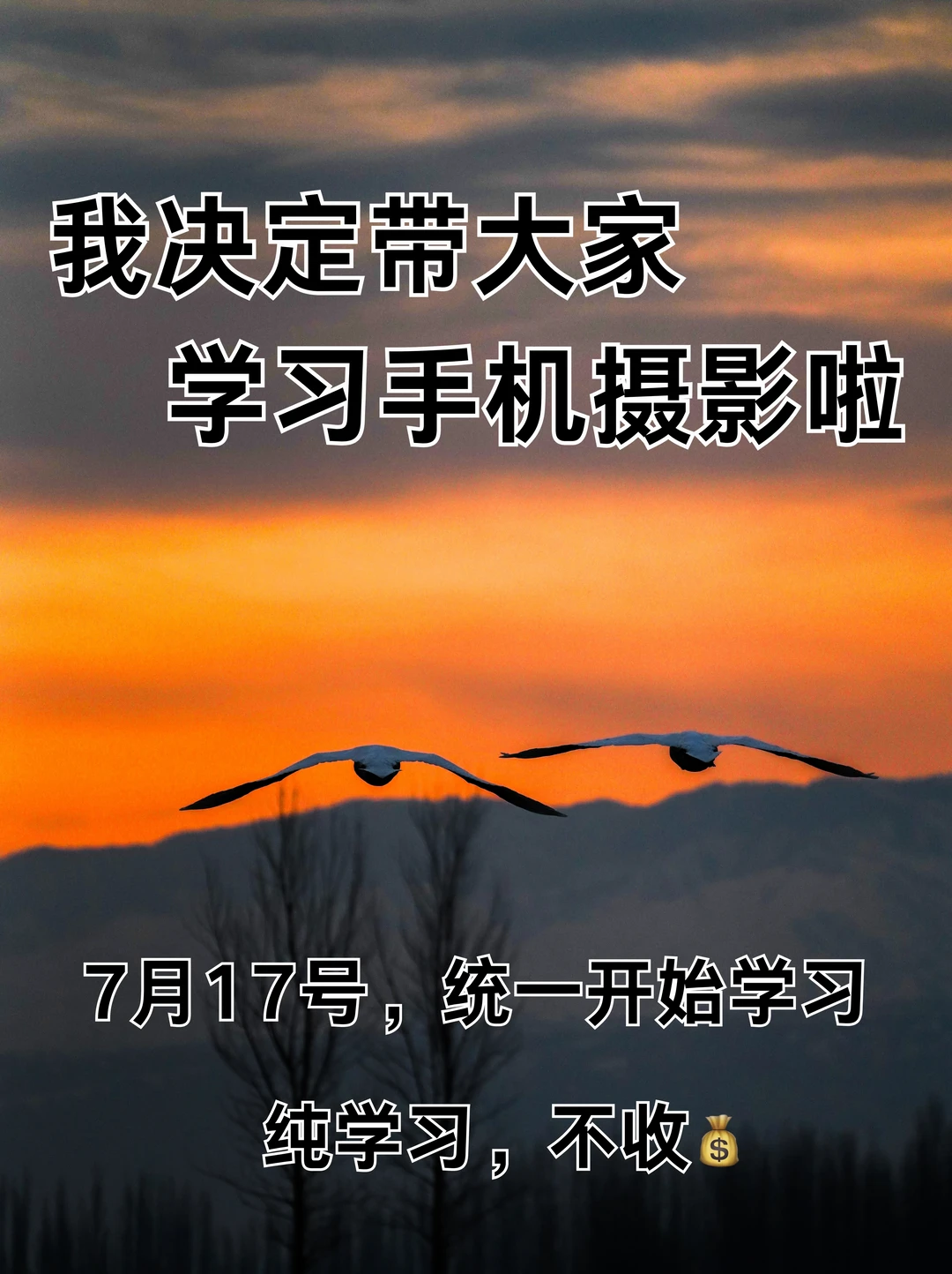 我决定带大家学习手机摄影啦！！