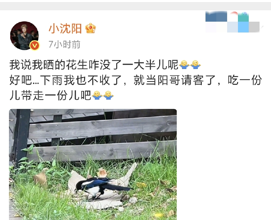 小沈阳，发文吐槽
 
10月27日下午，小沈阳，发文吐槽，一条有趣的动态迅速引来网友围观，看完真的让人忍不住笑出声来。

小沈阳发文吐槽自己晾晒的花生不见了一大半，还配了一张喜鹊正在吃花生的实拍照片，画面十分有趣。

小沈阳发文吐槽的时候还幽默表示，这下找到花生消失的原因了。
 
小沈阳一开始还百思