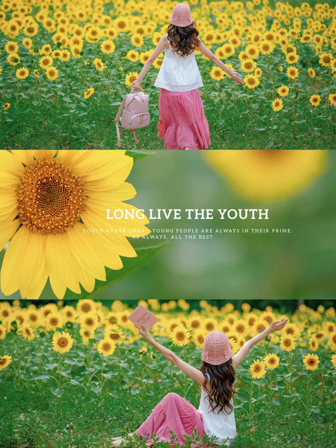 终于学会把阴天修出氛围感啦|向日葵拍照