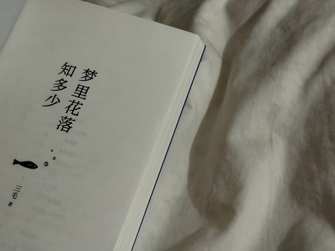 这世界总有人偷偷爱着你，晚上见到了我可爱的瑞，愿我们都能被这个世界温柔相待，今日份歌单张靓颖的画心，全世界都好眠🥷🏻 ​