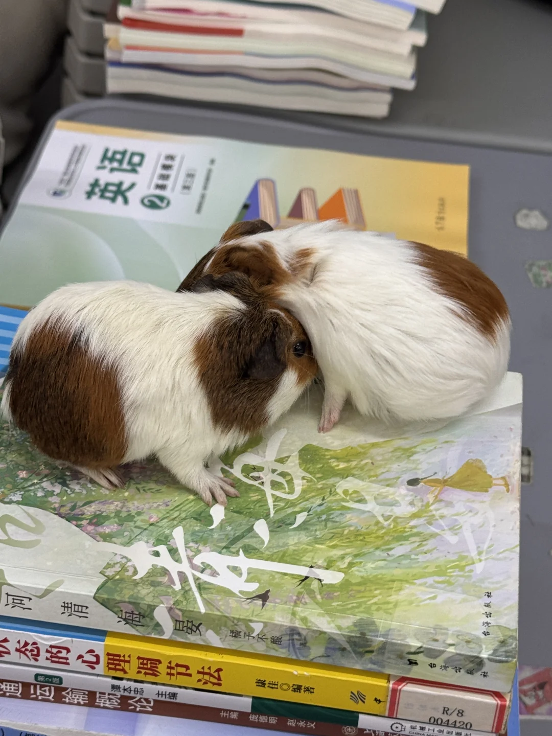 学生到底能带多么离谱的东西来学校