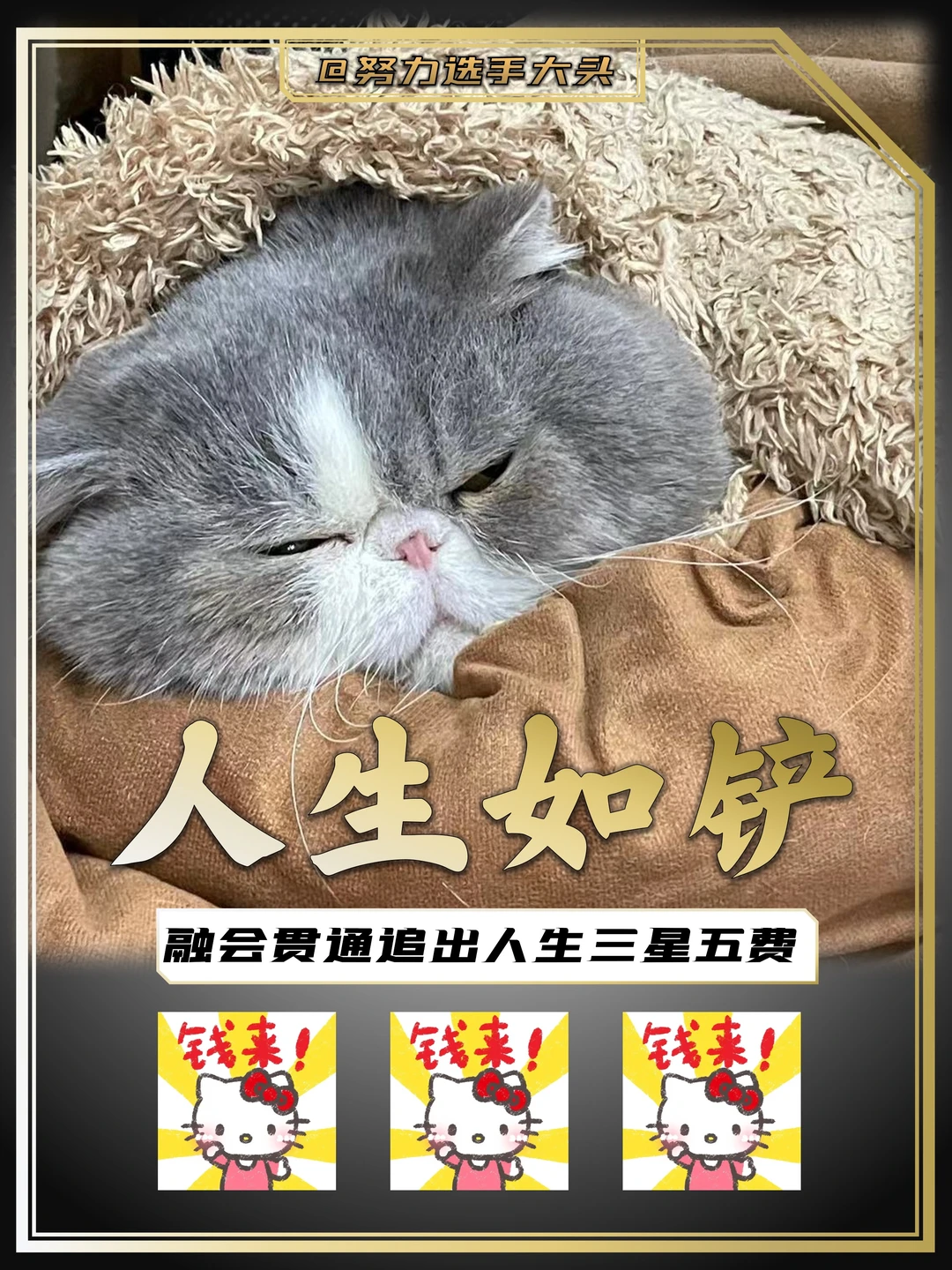 金铲铲最强玩法！强度远超三星五费！