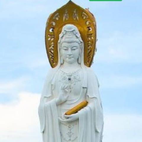 菩提树下那道光