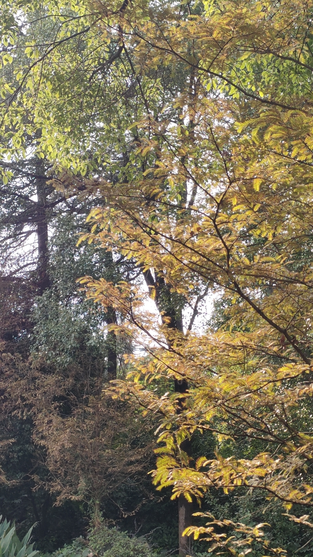 <p>女朋友和1000万选哪一个 <!--{img:0}--></p>...