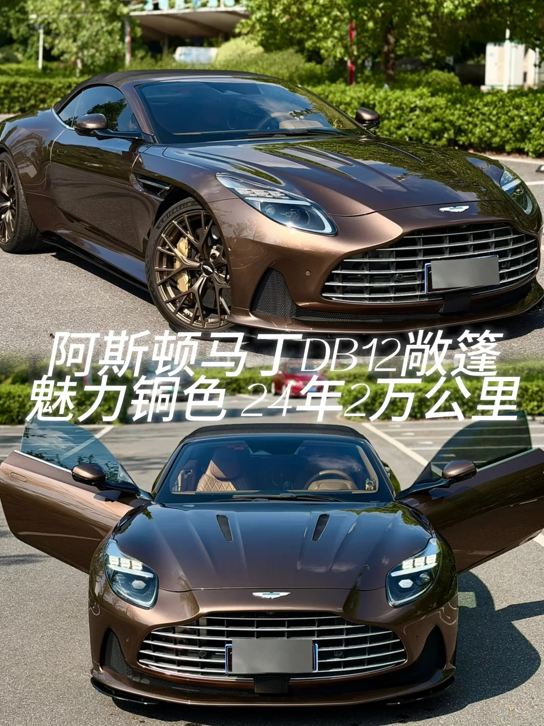 极致优雅！！！阿斯顿马丁DB12敞篷 魅力铜🤎