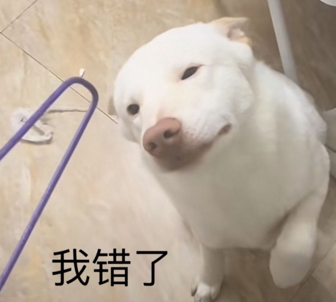 可爱表情包！！