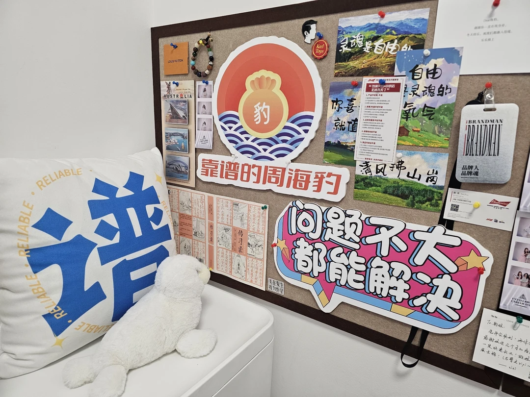 26岁的加速人生，随便说点想说的