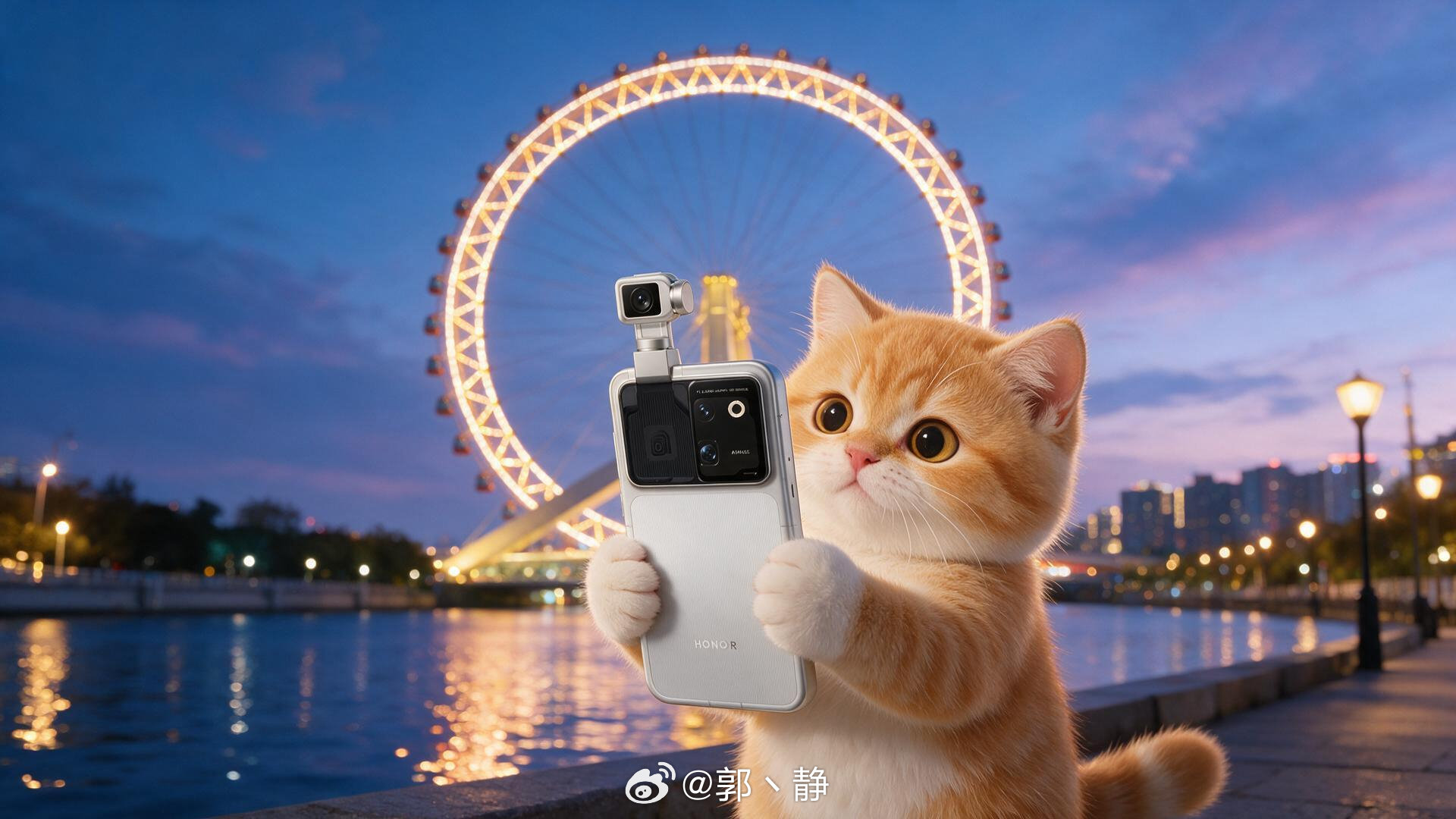 AI小猫勇闯天津卫[doge]#荣耀robotphone# ​