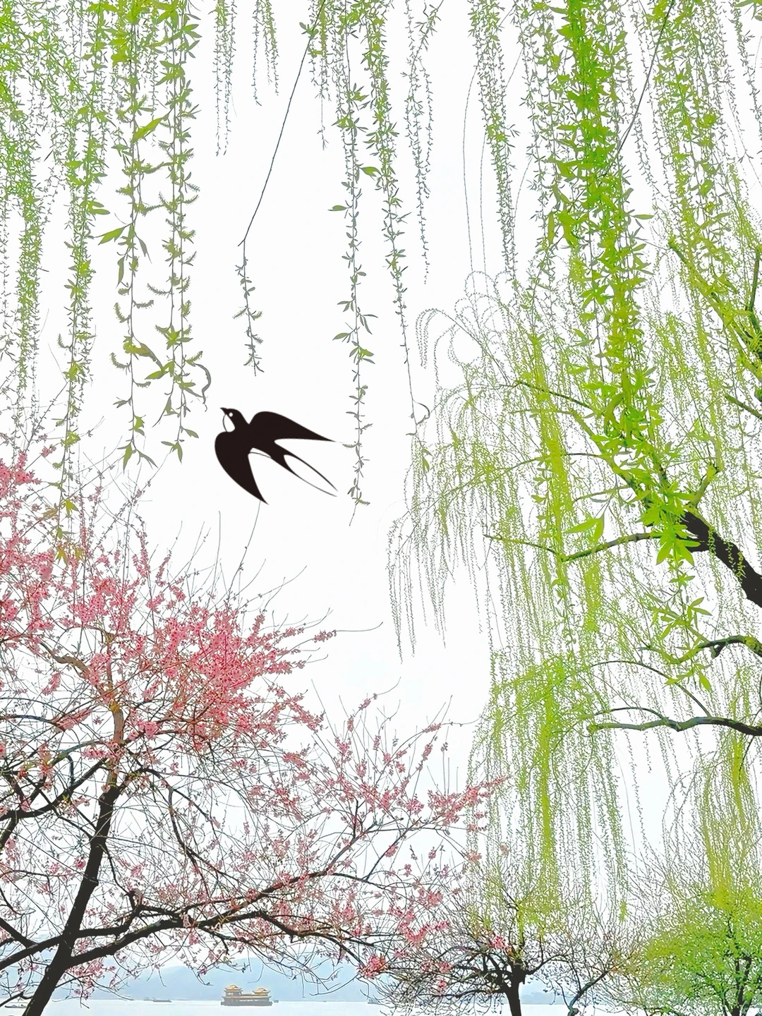 3.24实拍live! 桃红柳绿在我眼前具象化了‼️