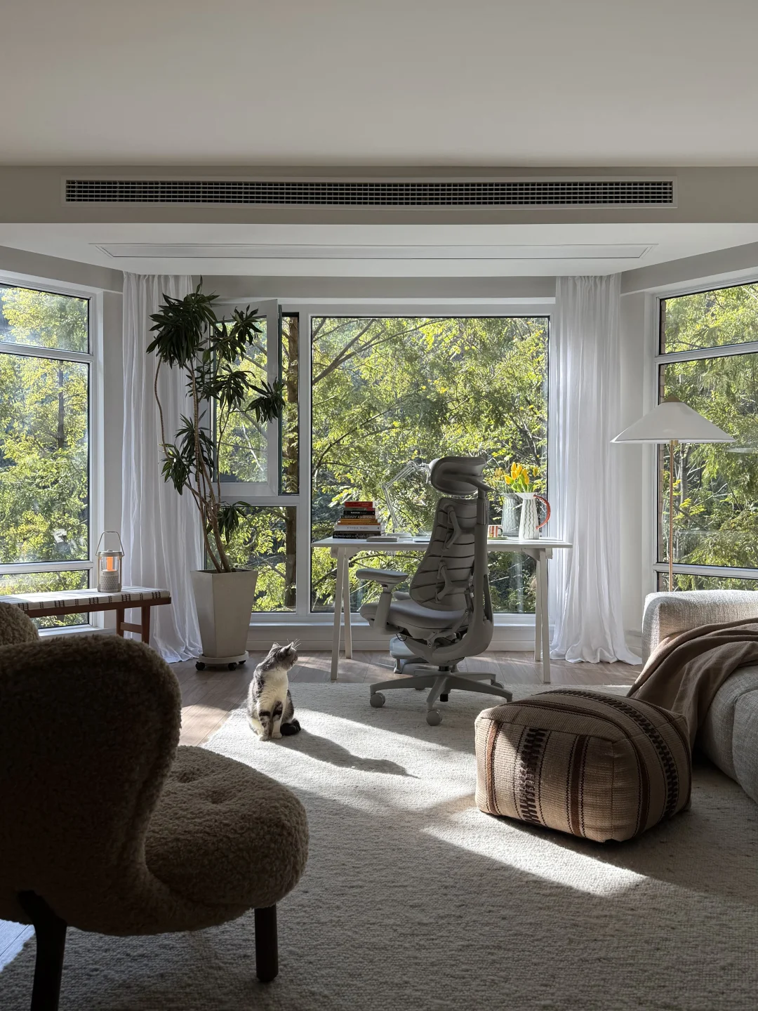 青山为伴，久坐也清欢