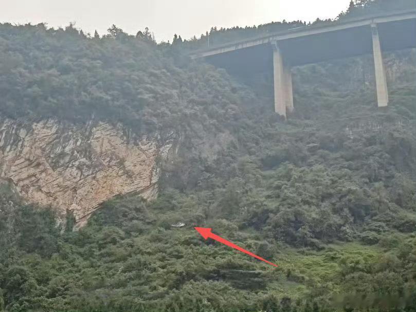 领克10太硬了。

车辆坠落过程中，对应安全气囊及时弹出，车辆紧急救援系统同步自动触发，向车主发起语音呼叫。车辆经历多次撞击和连续翻滚后，乘员舱结构完整，A/B/C柱无变形，车门可正常开启，电池未出现冒烟、起火、爆炸或漏电现象。

事经医院检查，车主为轻微擦伤及局部骨裂，精神状态良好。

 ​