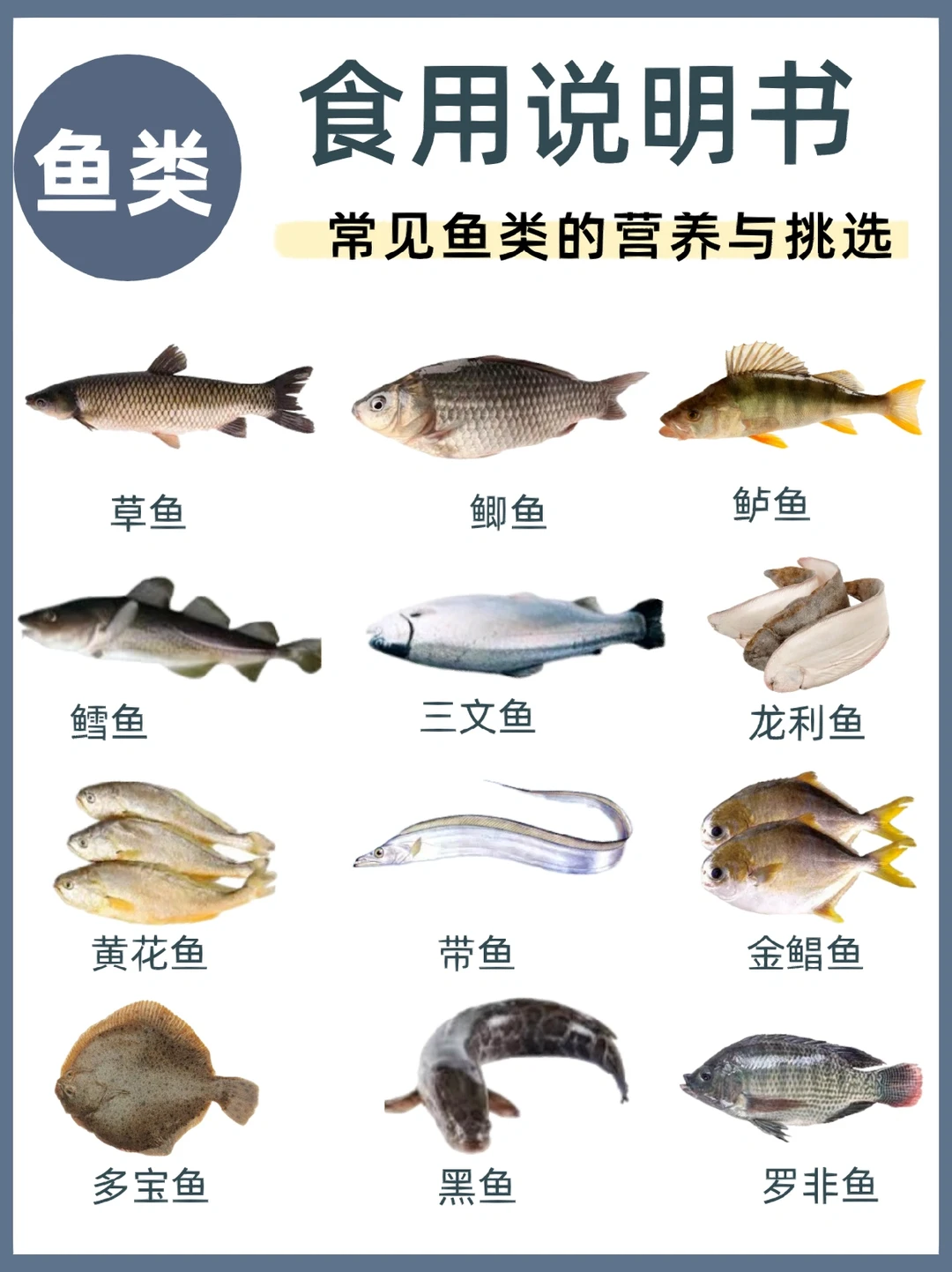 鱼类食用说明书｜宝宝辅食鱼如何挑选⁉️