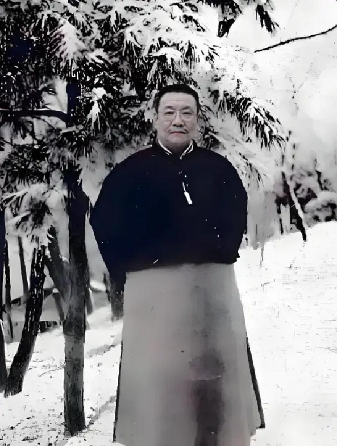 谭延闿是怎么死的，1923年一位上海医生给过答案。
 
谭延闿把那张病历折好，塞进西装内袋。秘书方鼎英在一旁欲言又止，终究没敢再劝。车已等在门外，今晚是湖南同乡会的局，不去不行。
 
席设在一家新开的湘菜馆。谭延闿进门时，满桌人已候了多时。主位空着，他摆手推让一番，还是坐下了。第一道便是红煨海参，油