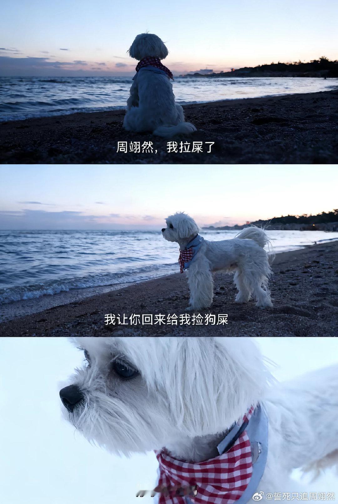 #周翊然[超话]# 快给法拉利捡狗屎 ​