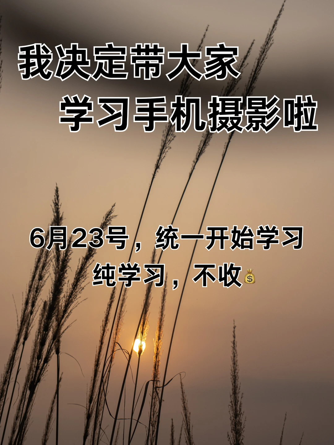 我决定带大家学习手机摄影啦！！
