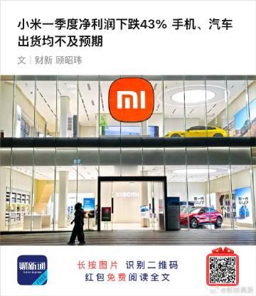 小米，还有多少“米”
