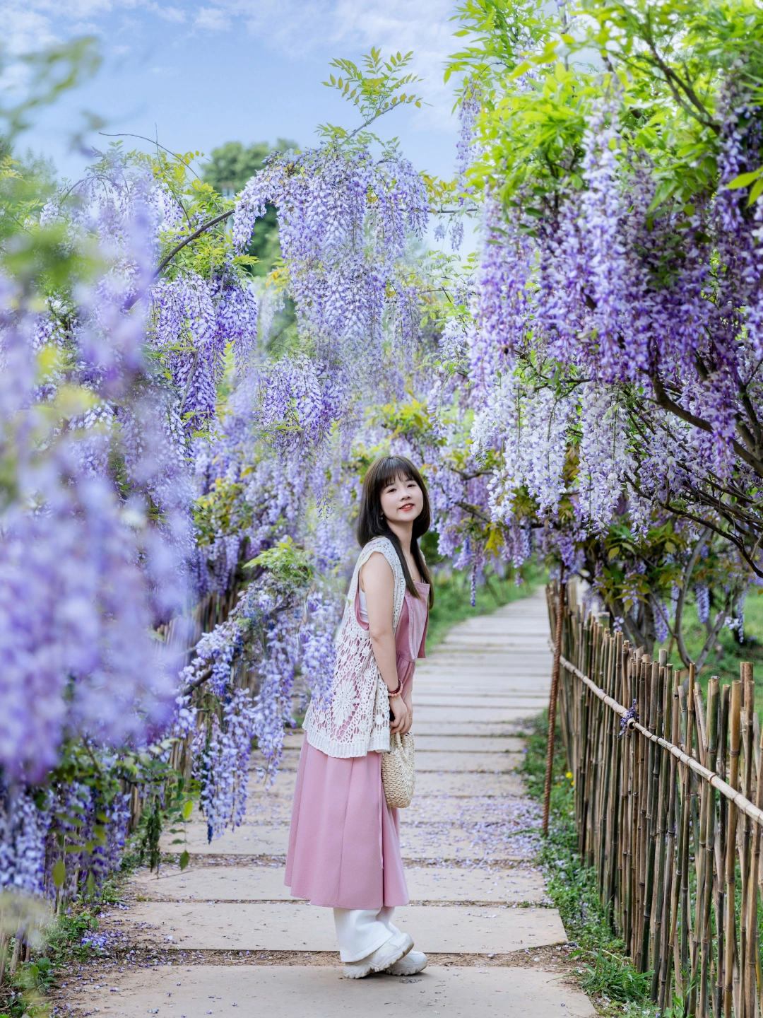 我终于在成都拍📸到了书本里的《紫藤萝瀑布》