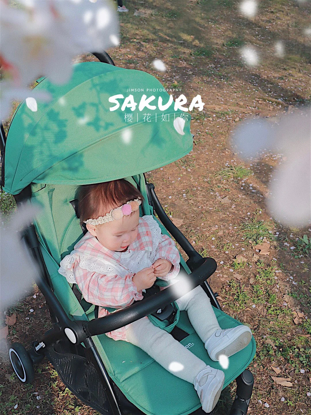 华农的樱花油菜花都开了，看下我的入校攻略