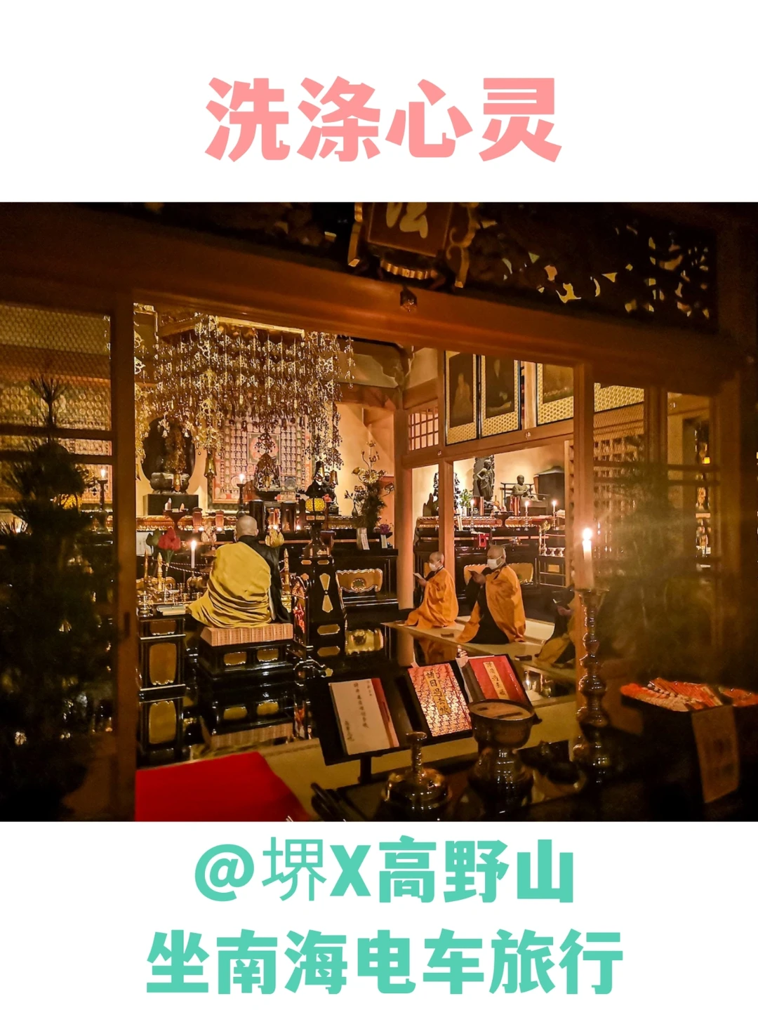 住寺庙是什么体验⁉️大阪堺❌高野山旅游