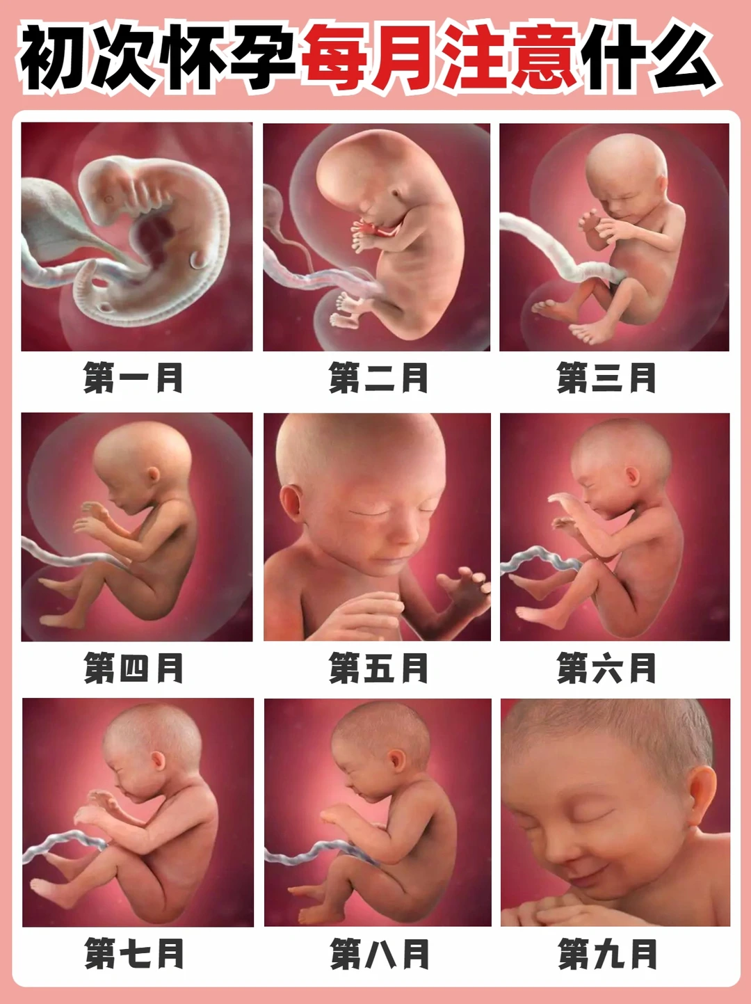 🔥 初次怀孕1-40周胎儿发育及注意事项！