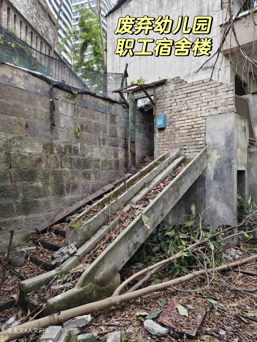 【南岸】南滨路的寂静时光废墟中的童年回响