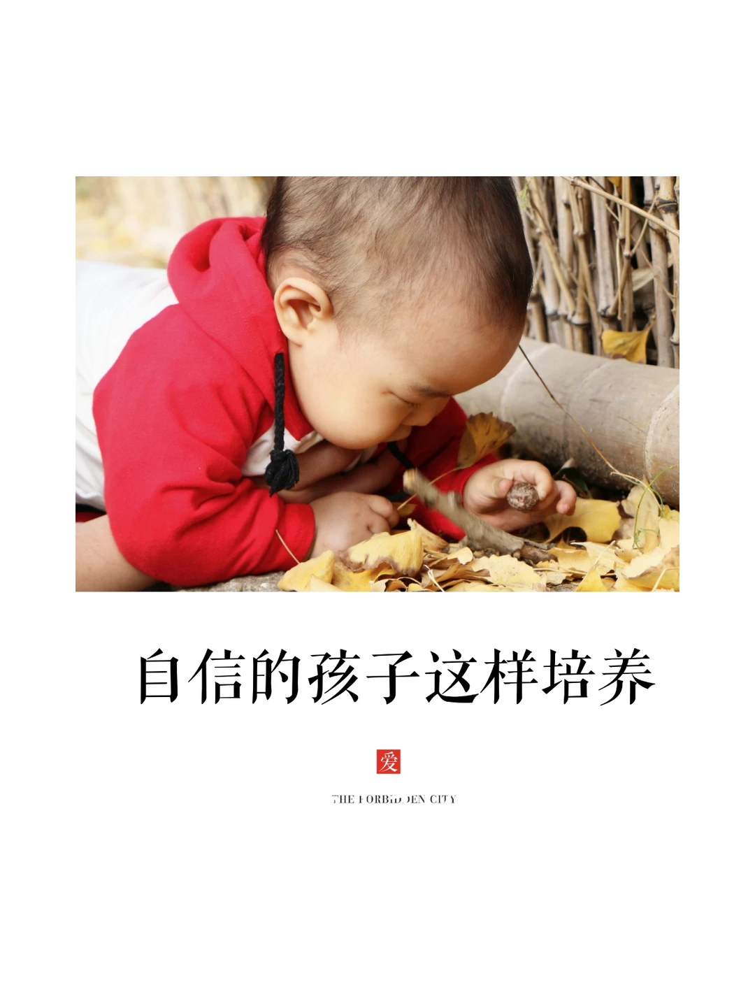 关于自信2|🤗逆境中培养孩子的复原力