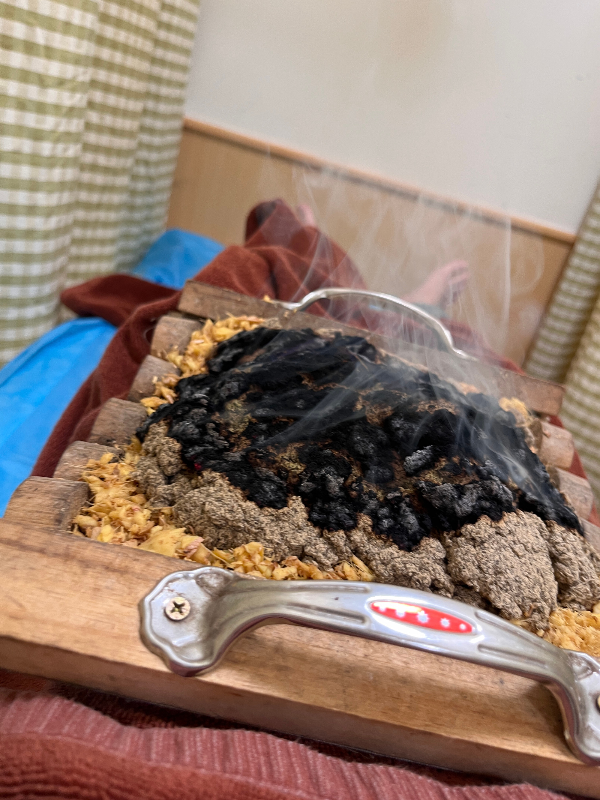 🌟开始养生的一个月，没想到杨箕那边也挺好逛的样子🌟史迪仔家族再添两...