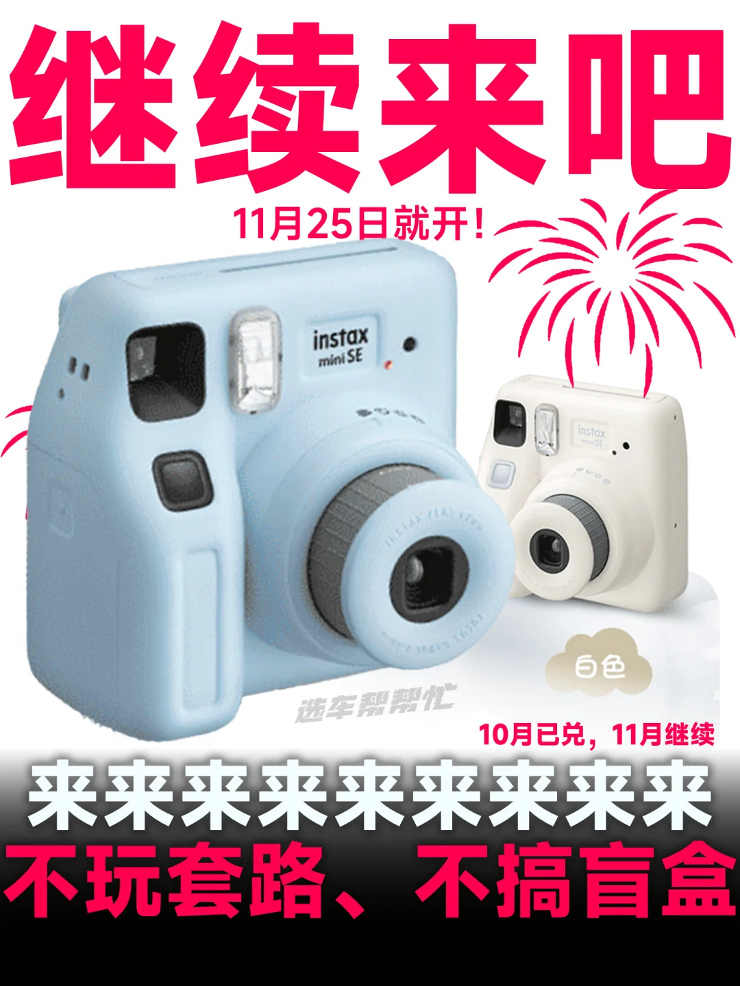每月一宠｜继续❗️宝子们11月心意继续来❗️