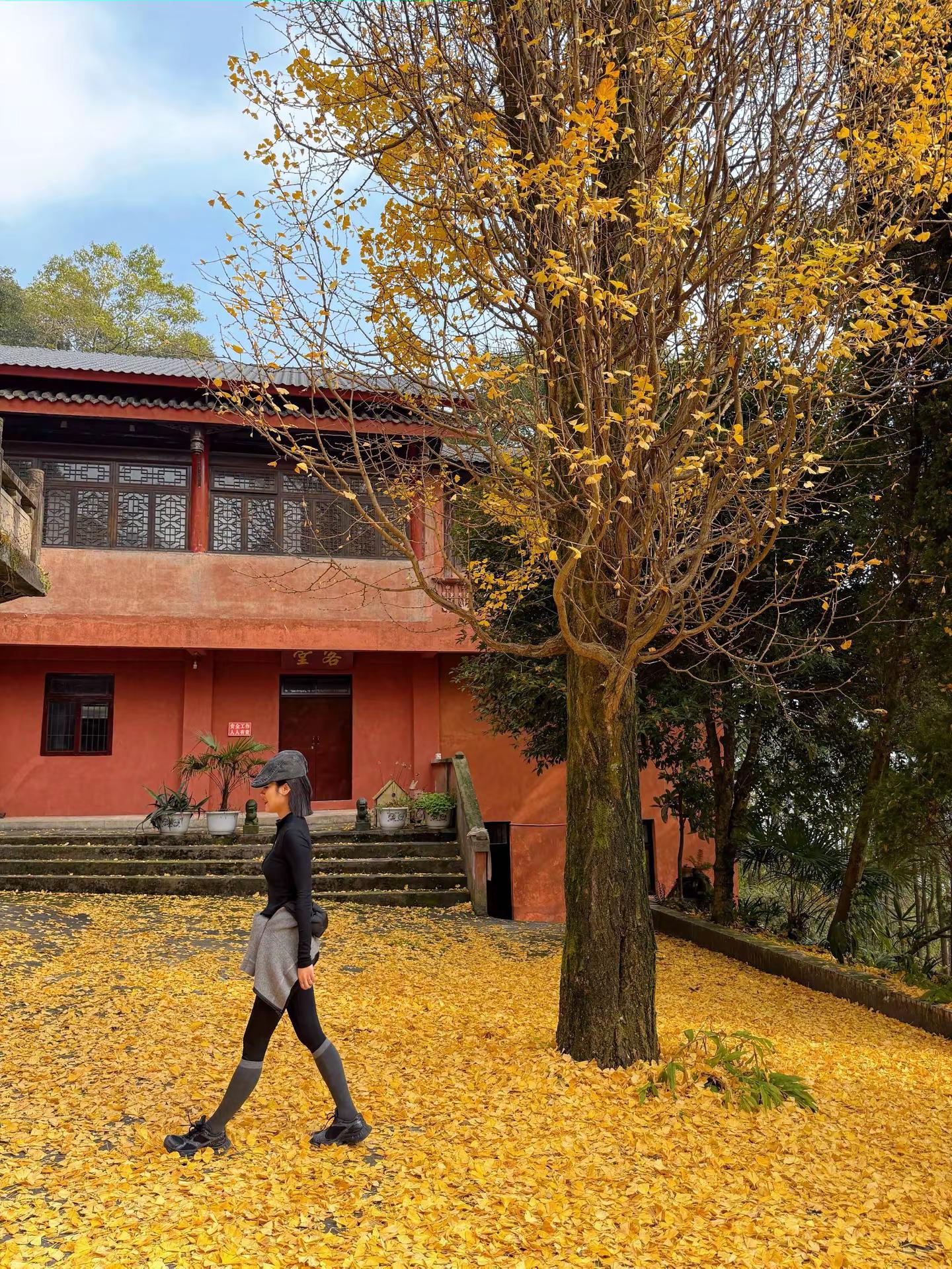 当你把人性看透，你就会喜欢独处，不愿意掺合无效社交，更不会讨好任何人……