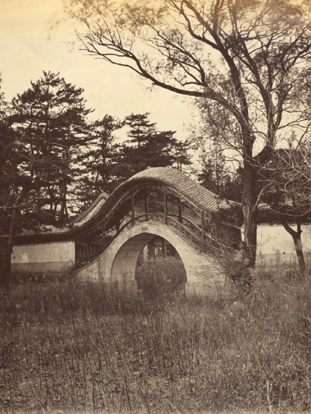 圆明园廓然大公规月桥今昔照片