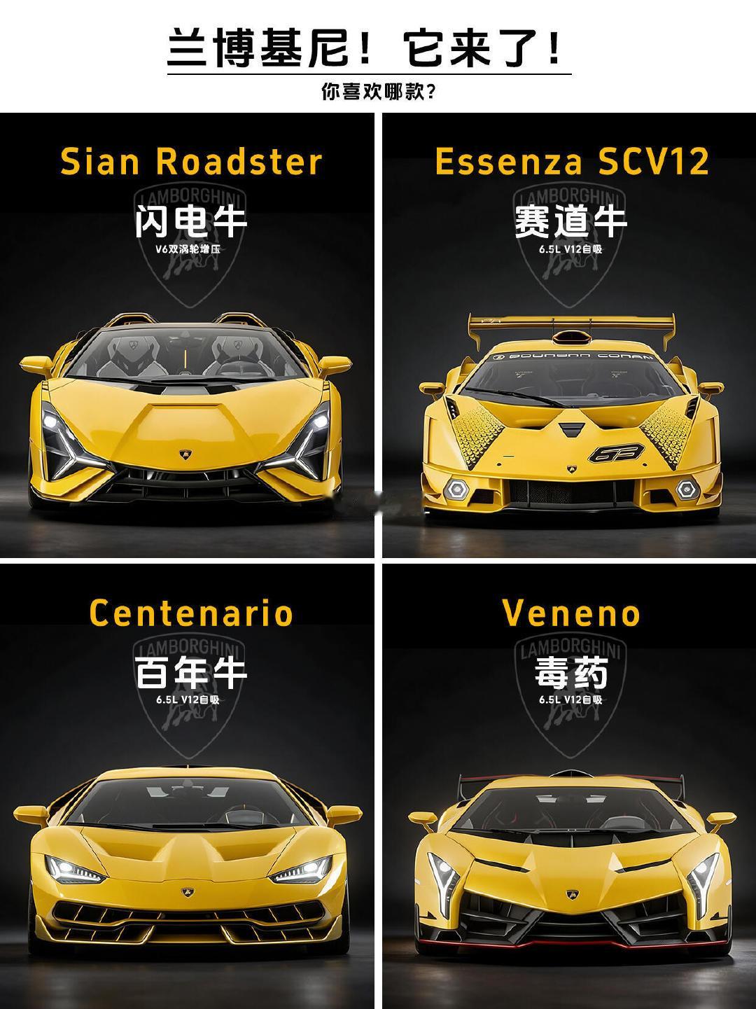 闪电牛/赛道牛/百年牛/毒药，你站哪头牛？#兰博基尼# ​