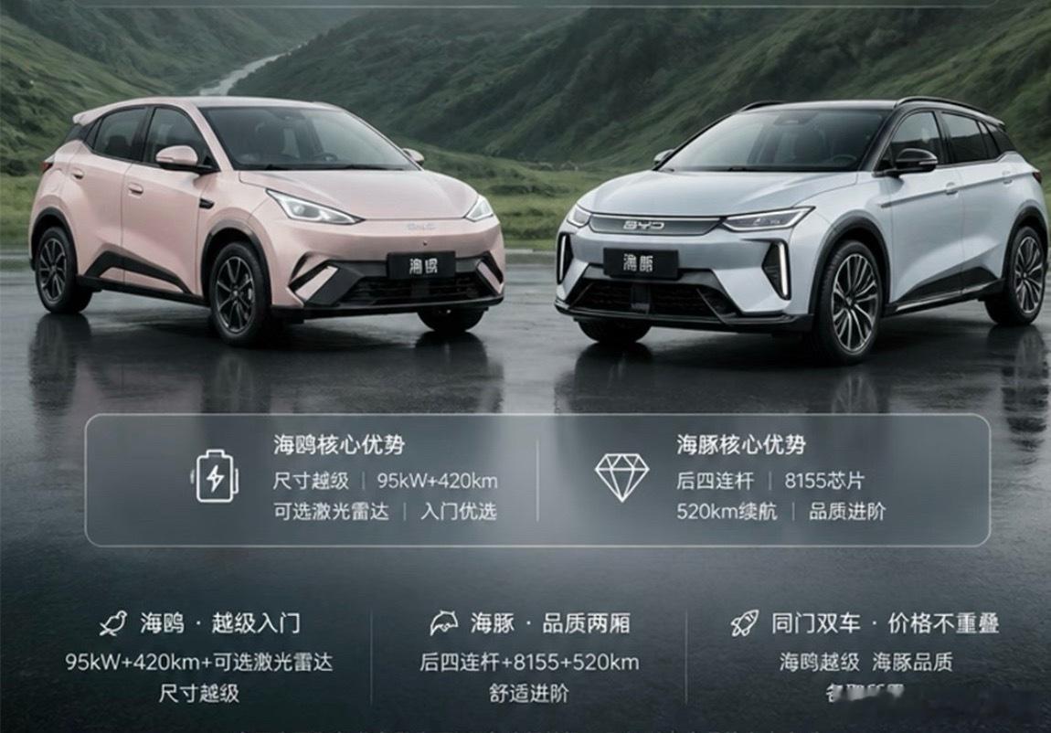 感觉比亚迪的策略是把海鸥改成老海豚，去打星愿，零跑 A10，然后把海豚改为元的样子，形成王朝海洋双胞胎车型。
比亚迪这个做法就是要拿回失去的市场，定价估计更有侵略性，而且产能做好了准备，关键这两台车肯定有很大的海外市场销量，一方面量大供应链成本有优势，同时海外利润更好，也可以平衡国内 ​