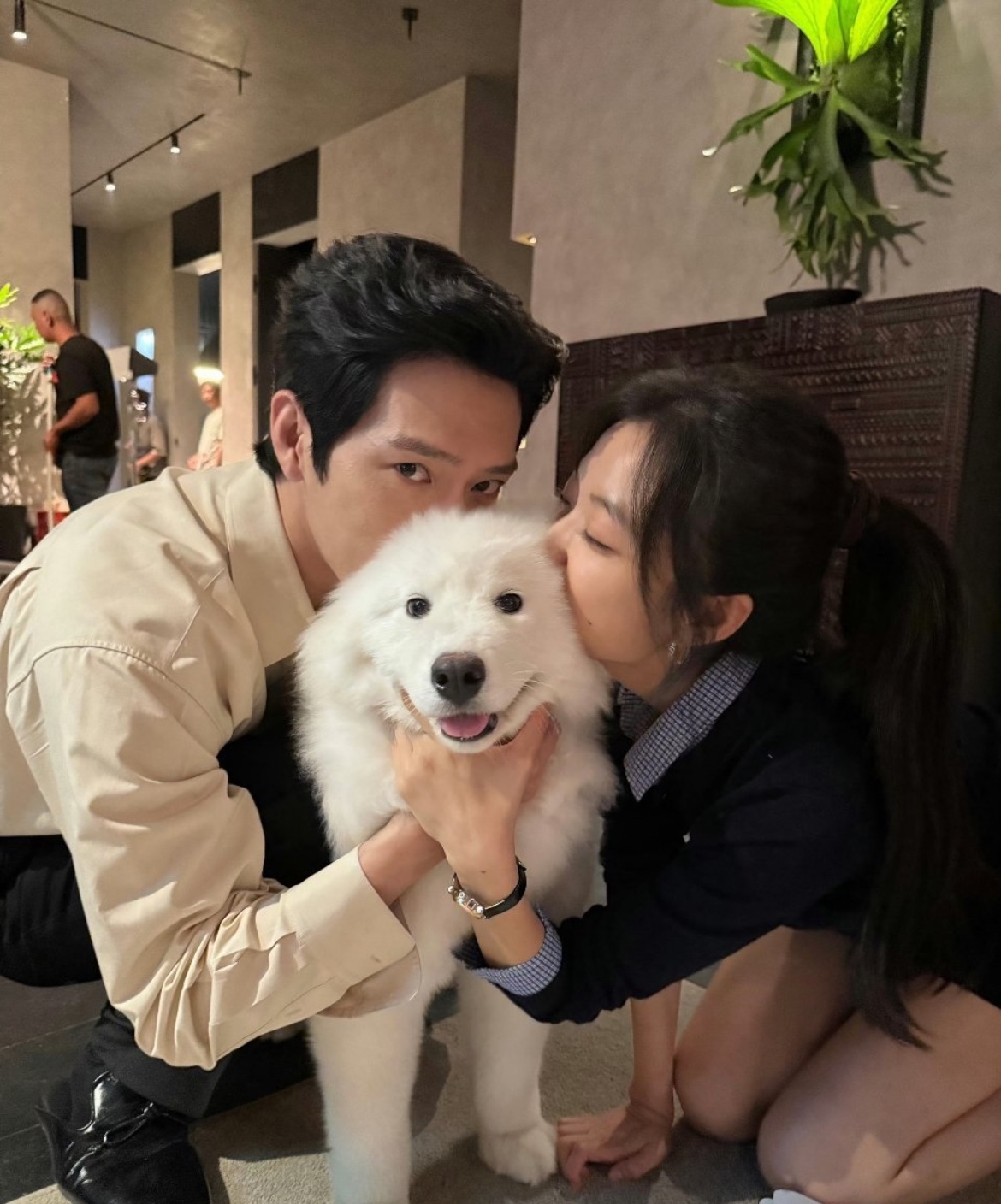 早春晴朗大结局甜晕了
破镜重圆的幸福结局经历了长达六年的分离隔和各自的成长后，栾念尚之桃最终重逢复合
栾念放下了以往的骄傲，主动开启“追妻”之路
六年兜兜转转的情感拉扯终于圆满收尾
栾念在亲手打造的“时空博物馆”向尚之桃求婚，栾念将尚之桃入职简历，电影票等跟六年回忆碎片珍藏于此，在朋友见证下求婚成功