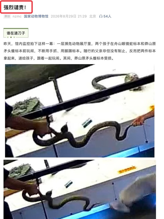 珍贵标本被小孩用手抓、脚踢，家长拒不承认