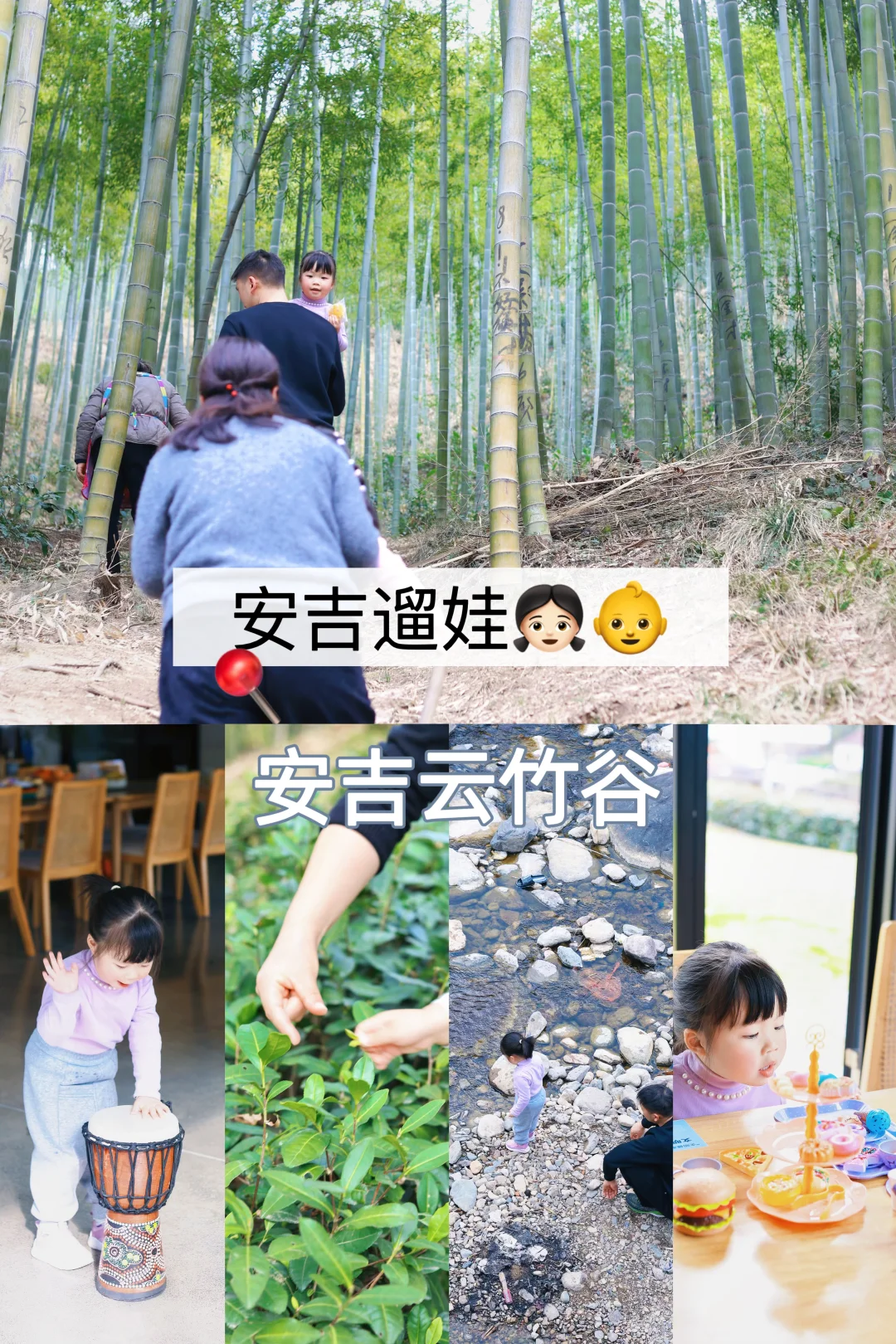 带4岁的孩子，去安吉挖笋采茶，亲近自然
