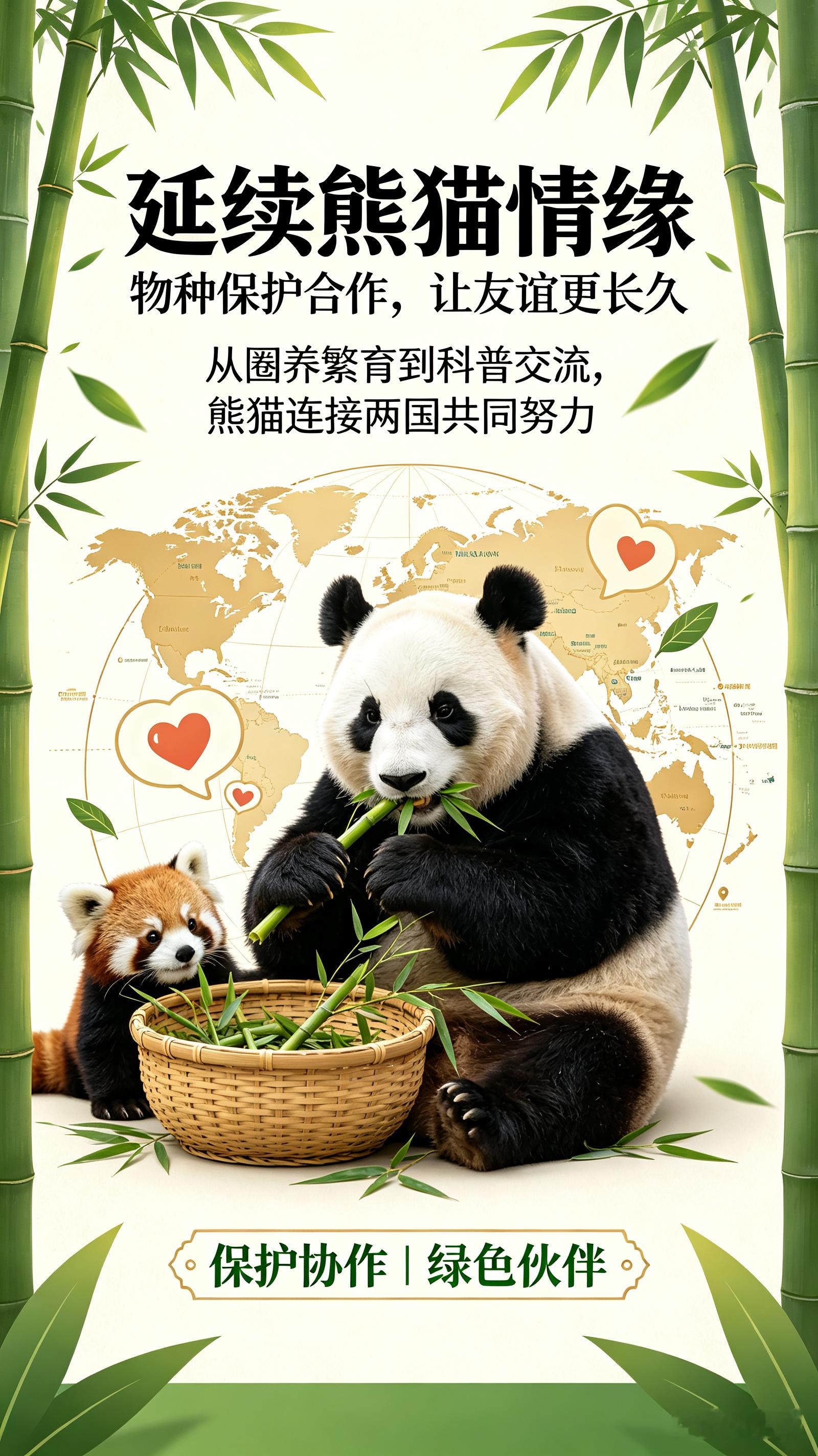 大熊猫素来是传递温情的国宝友谊使者。“平平”“福双”即将赴美，延续跨越半个世纪的熊猫情缘。这不仅是大熊猫保护领域的国际协作，更是拉近中美民众心灵距离的纽带。可爱的熊猫能跨越语言差异，增进彼此好感，为两国人文交流添暖意，为中美民间友好注入鲜活力量。