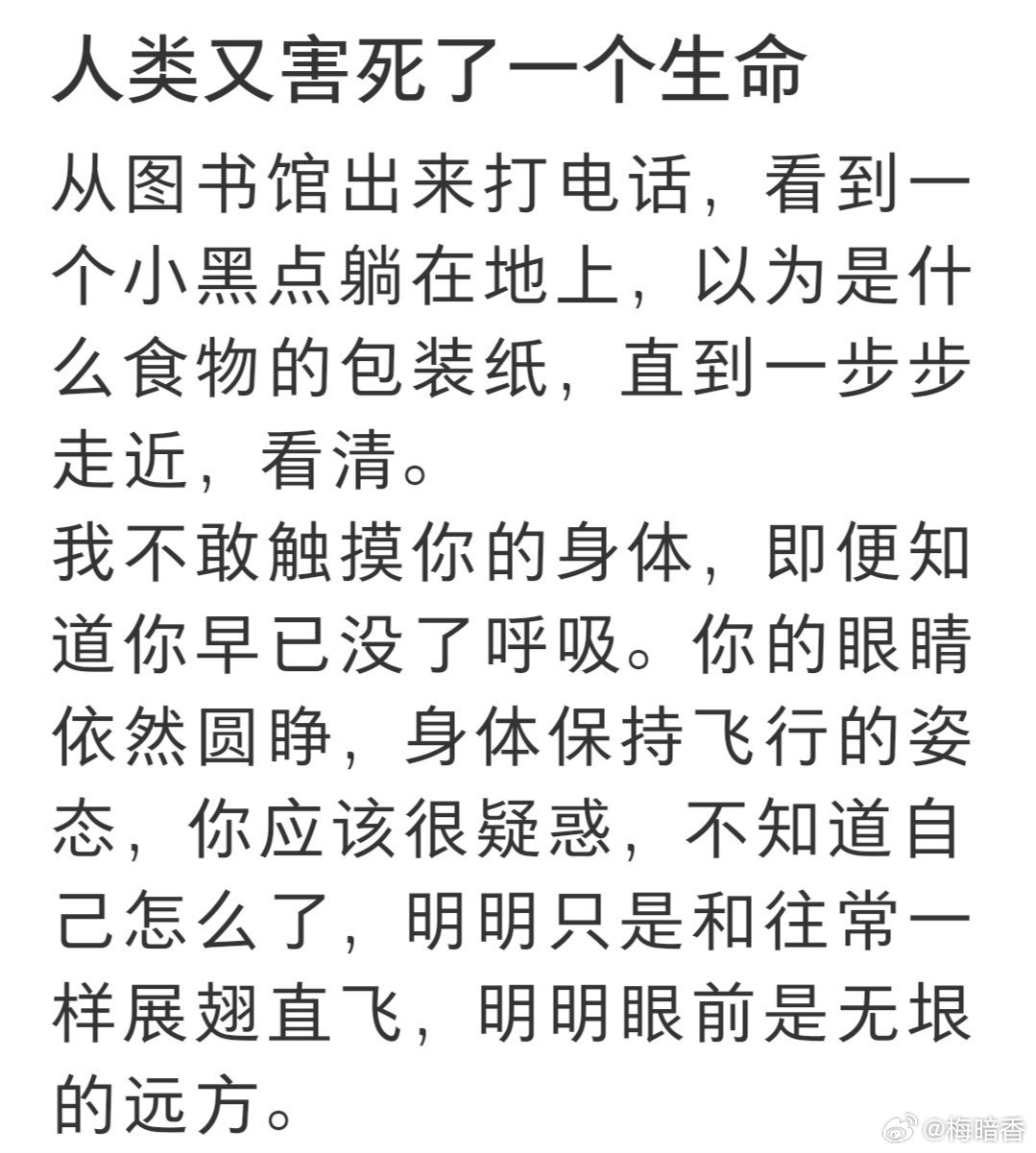 小鸟，天堂没有玻璃。鸟为动物发声 ​​​