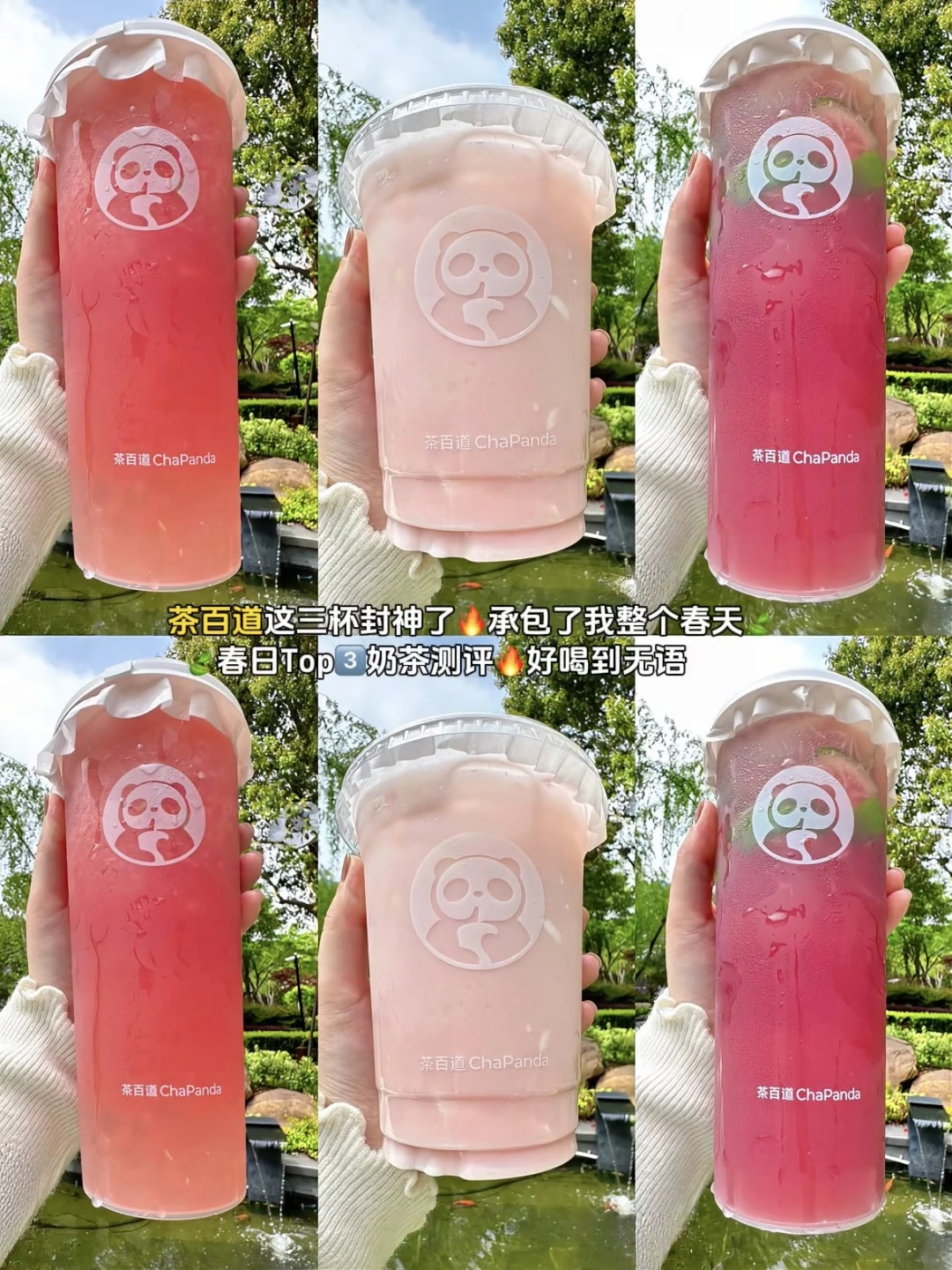 茶百道这三杯喝第一口就知道～春天真的来了