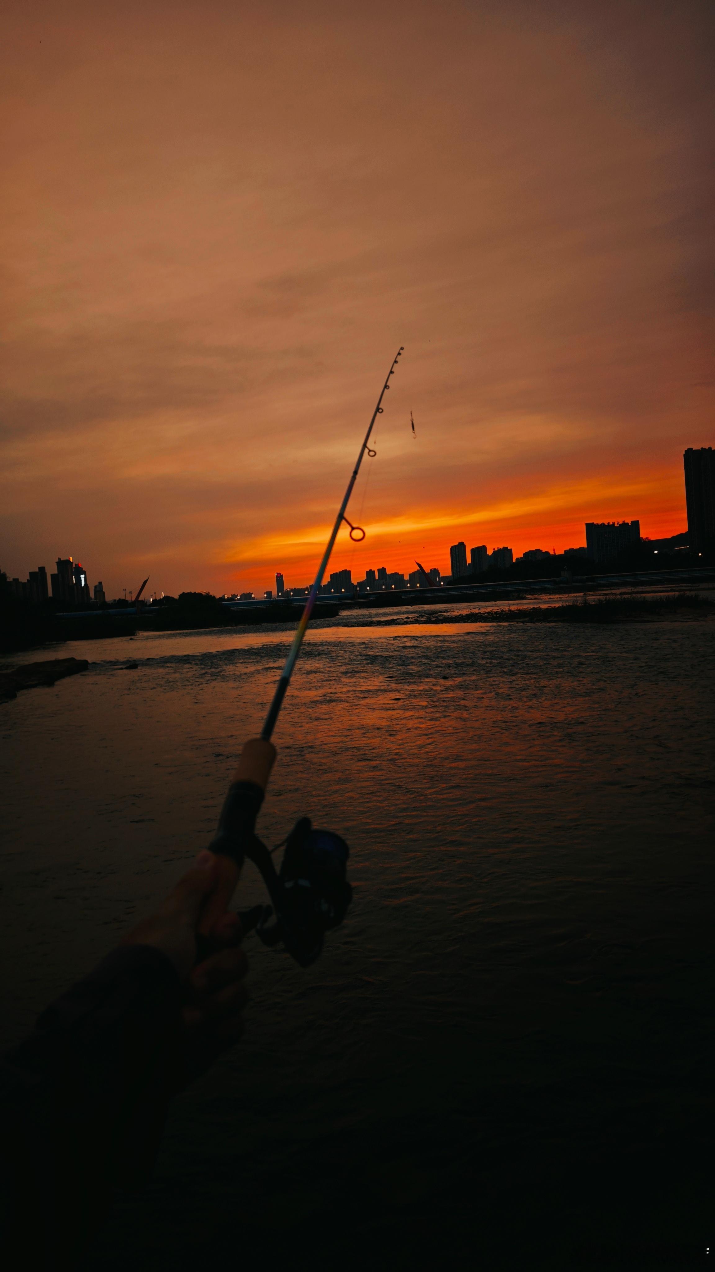 你的承諾 她的許諾 都不如我的：SHIMANO——第3195天给您道·晚安晚安💤​遇见艺术秦邑宝仓吃茶痴茶 ​​​