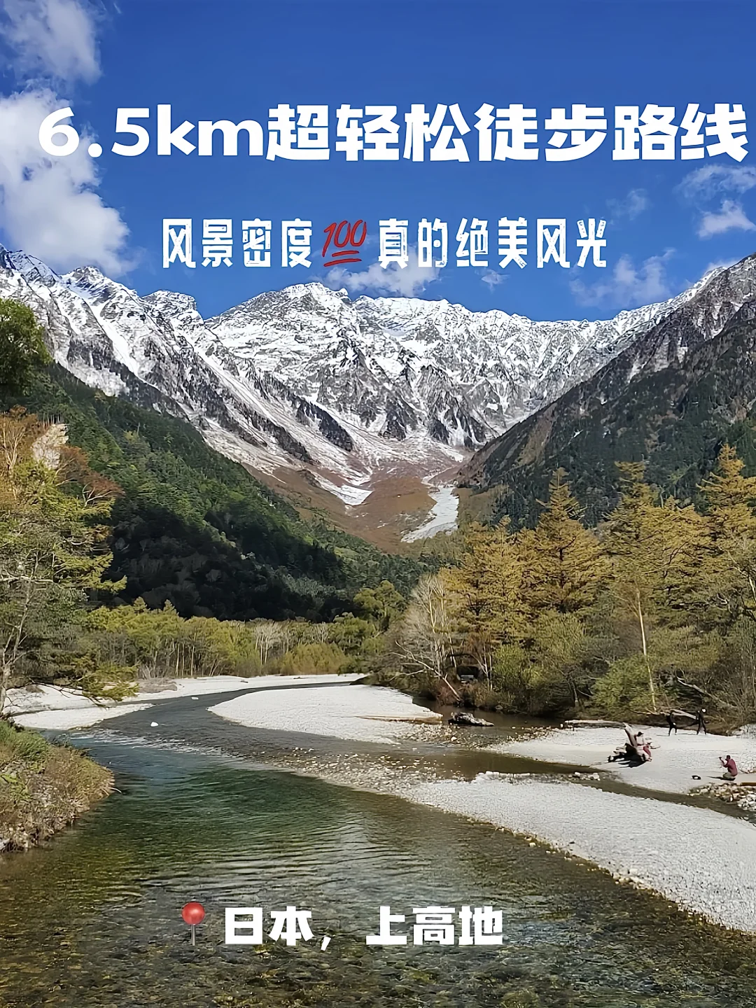 夏天不想看海了，日本这片森林比风扇还凉！